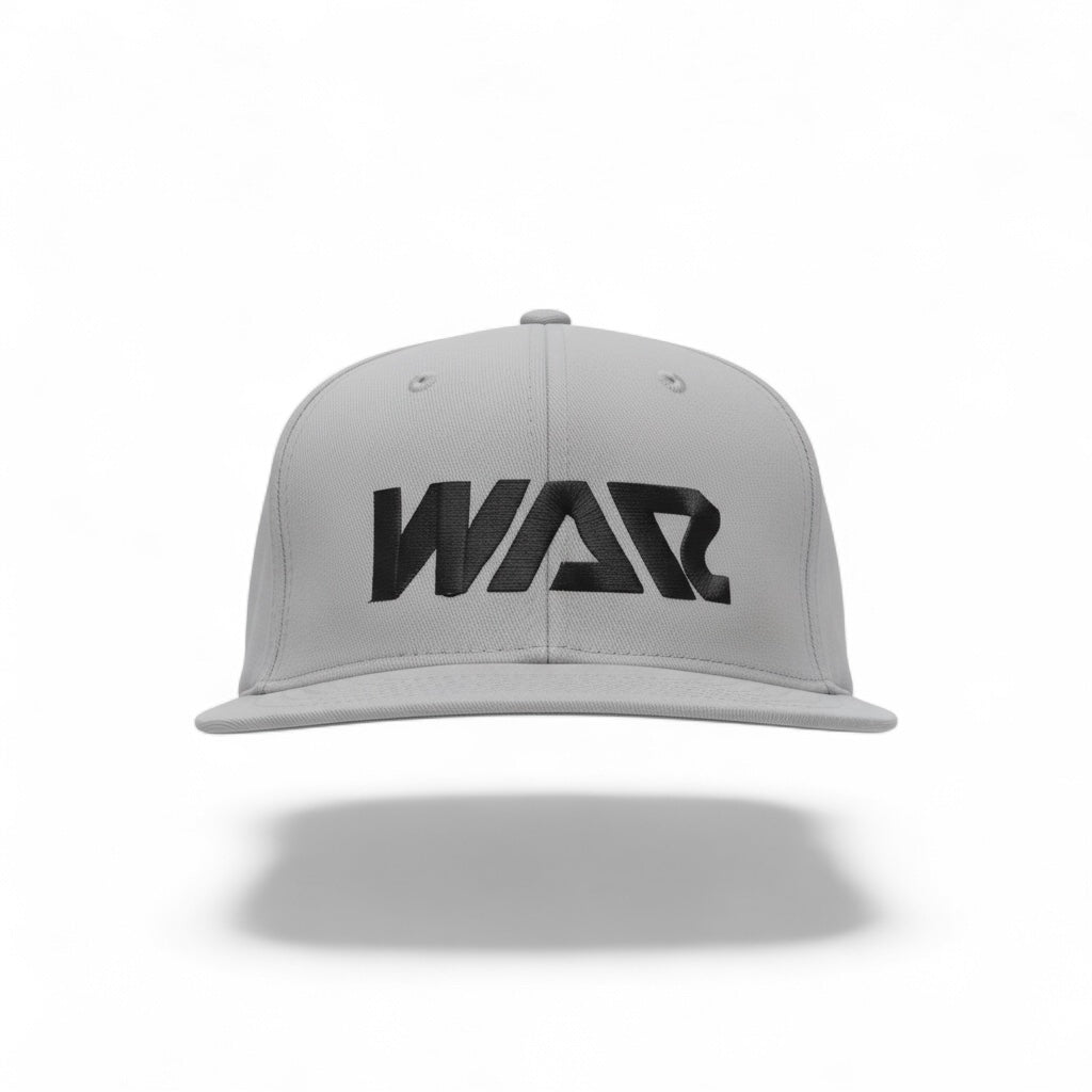 War Snapback Hat - Gray